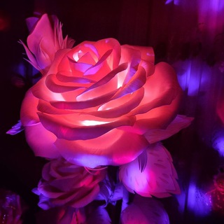 IZALON GULLAR CROWN KORONAANDIJAN