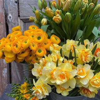 КНИГИ. САМОРАЗВИТИЕ