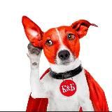 КРАСИВЫЕ И БОДРЫЕ