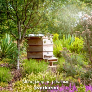 ДАЧНИК НА СВЯЗИ | ВСЕ О ОГОРОДЕ