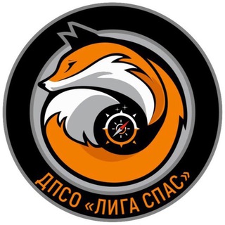ДПСО ЛИГА СПАС