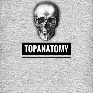 TOPANATOMY &