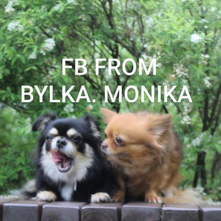 ФОТОБАТЛЫ ОТ БУЛКИ/МОНИКИ