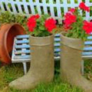 ЧАТ НОСТ ПРИРОДА