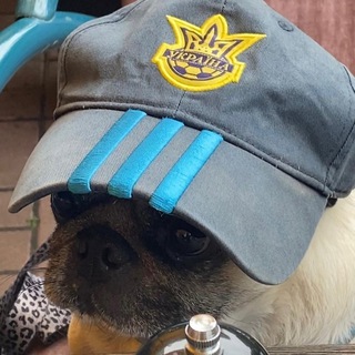 НИКТО НЕ ВУДИ АЛЛЕН