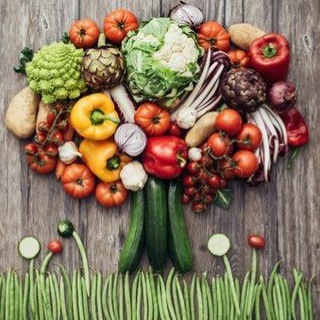 SALUD - KATIA TXI И ДР.