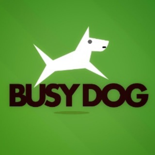 BUSYDOG || НАХОДКИ