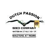 DUTCH PASSION