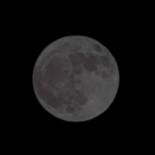 ИСЛАМСКИЕ АВАТАРКИ~