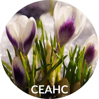 СЕАНС НА ВОССТАНОВЛЕНИЕ ПОЛЯ