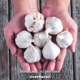 ВСЕ О НАРОДНОЙ МЕДИЦИНЕ