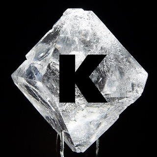 ДОМАШНЯЯ КОНФЕРЕНЦИЯ ПЕТЕРБУРГ