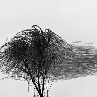 ФЕРМЕНТЕЙШН СТЕЙШН