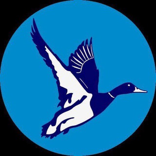 ЧЕБОКСАРЫ_АФИША21