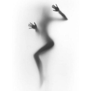 СТЕРВОЛОГИЯ