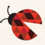 BUG BOUNTY CHANNEL