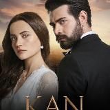 КРОВАВЫЕ ЦВЕТЫ/ТУРЕЦКИЙ СЕРИАЛ