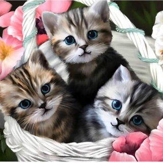 МУЗЫКАЛЬНЫЕ ПОЗДРАВЛЕНИЯ И КРАСИВЫЕ ОТКРЫТКИ