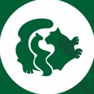 ИРКУТСКИЙ ЗООСАД