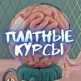 @REZ0222  СЛИВЫ КУРСОВ ТУТ