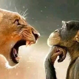 БИОЛОГИЯ В ШКОЛЕ