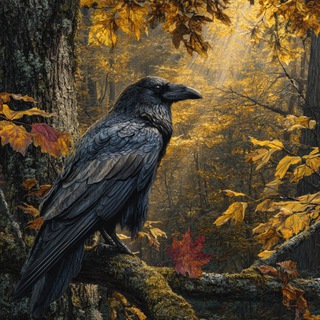 ВОРОНА КАРЛОВНА