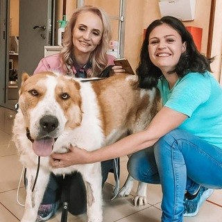 КОМАНДА ВИКТОРИЯ | ПРИЮТ ДЛЯ ЖИВОТНЫХ