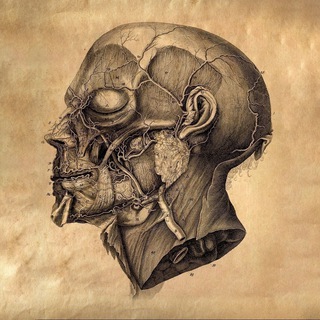 АНАТОМИЧЕСКИЙ ТЕАТР