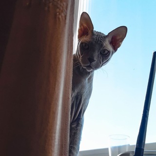 АЛТАЙСКИЙ ТАНДЕМ