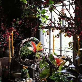 ЭСТЕТИКА И КРАСОТА