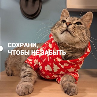 СОХРАНИ, ЧТОБЫ НЕ ЗАБЫТЬ
