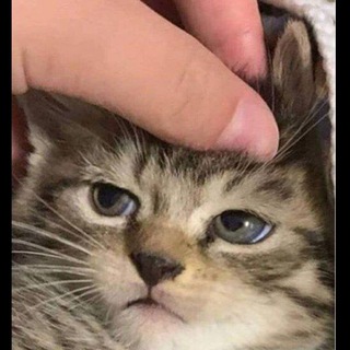 ВСЕ ДЛЯ ТВОЕЙ ИНСТ