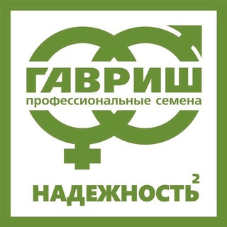 ПРОФ. СЕМЕНА ГАВРИШ