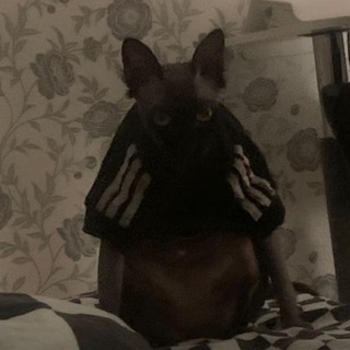 KXST AKA ИЗИ ТУСА КАК СМЫСЛ ЖИЗНИ