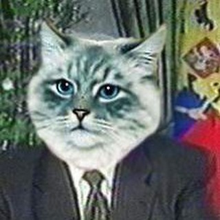 (НЕ) ПРОПАГАНДА