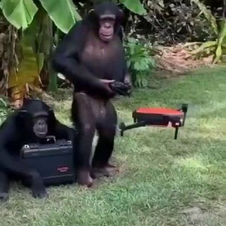 ДРОНЫ: ИНСТРУКЦИИ