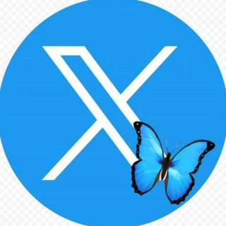 CRYPTO TWITTER HU₿