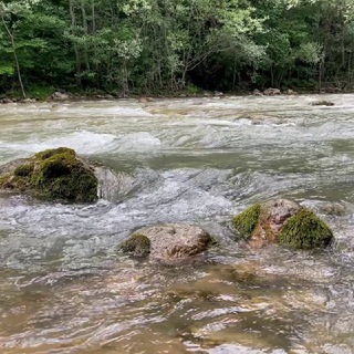 ГУАМКАКУРДЖИПС