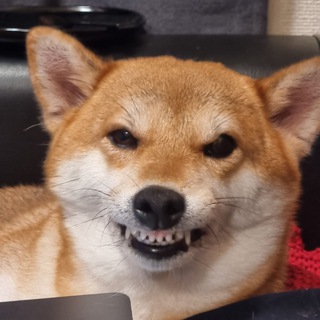 ЛЮБОВЬ И НЕНАВИСТЬ В ТОКИО