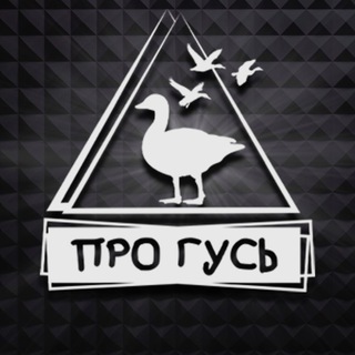 ОХОТА НА ГУСЯ С ПРОГУСЬ