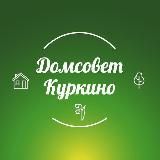 ДОМСОВЕТ КУРКИНО