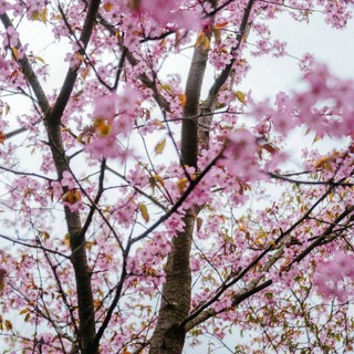 АФИША МОСКВЫ