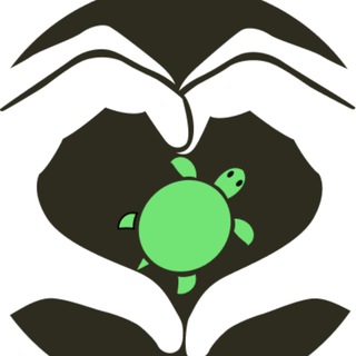 ЧЕРЕПАХИ.РУ