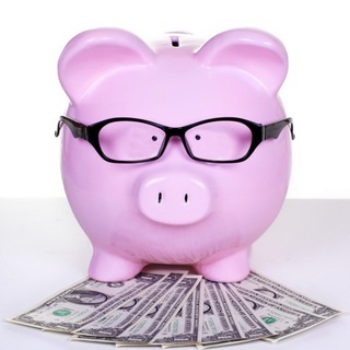 СВИНКИНЫ ФИНАНСЫ