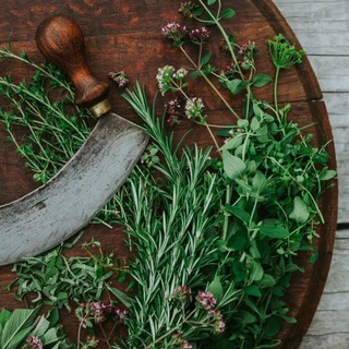 БАЙКАЛДАР ОТЗЫВЫ