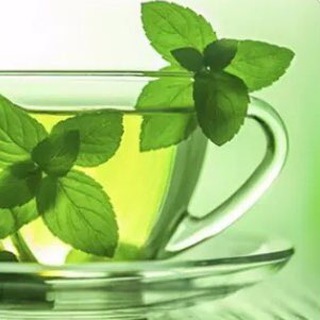 FITOTERÁPICOS & NUTRACÊUTICOS  