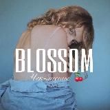 @CHEKLISTBLOGGER2 НОВЫЙ КАНАЛ | BLOSSOM КУРСЫ | ЧЕК-ЛИСТЫ