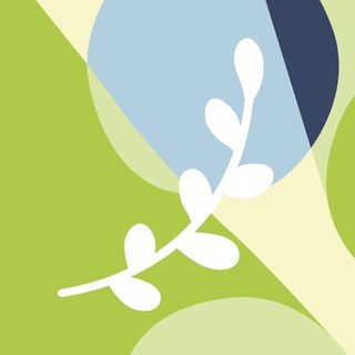 МОСКОВСКИЕ ШКОЛЫ ИСКУССТВ