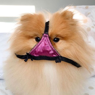 КОРОННЫЙ УДАР