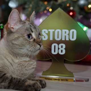 STORO08 СHAT